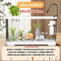 ราคา ตู้ปลา ตู้ปลาตั้งโต๊ะ ตู้ปลาเล็ก ตู้ปลาขนาดเล็ก ตู้ปลา 12 นิ้ว พร้อมไฟและปั๊มน้ำ การออกแบบที่มีฝาปิด ตู้ปลามีฝาปิด Hydra Mall ตู้ปลาตั้งโต๊ะ ตู้ปลาเล็ก ตู้ปลา ตู้ปลาขนาดเล็ก ตู้ปลา 12 นิ้ว พร้อมไฟและป