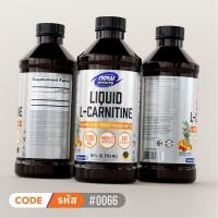 ราคา แอล คาร์นิทีน L Carnitine Liquid 500 MG by NOW SPORTS Authentic Made in USA (25055330105)