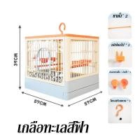 ราคา PET PLAIN บ้านนก กรงนกแก้ว กรงนกพกพาพิเศษ พื้นที่กว้าง กรงนกสไตล์วิลล่า พกพาง่าย ตั้งโชว์สวย กรงนกหัวจุก (25269126053)
