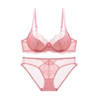 ราคา SANGWEN ชุดชั้นในลูกไม้เซ็กซี่ Victorias Secret สำหรับผู้หญิง ชุดชั้นในแบบบาง ป้องกันการหย่อนคล้อย ชุดชั้นในเสริมหน้าอก ชุดชั้นในแบบเกาะอก ชุดชั้นในฤดูร้อน (24878814400)