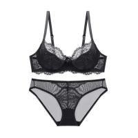 ราคา SANGWEN ชุดชั้นในลูกไม้เซ็กซี่ Victorias Secret สำหรับผู้หญิง ชุดชั้นในแบบบาง ป้องกันการหย่อนคล้อย ชุดชั้นในเสริมหน้าอก ชุดชั้นในแบบเกาะอก ชุดชั้นในฤดูร้อน (24878814492)