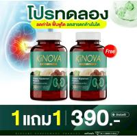 ราคา คิโนว่า KINOVA ผลิตภัณฑ์เสริมอาหารดูแลสุขภาพไต 2กระปุก60แคปซูล (25130319596)
