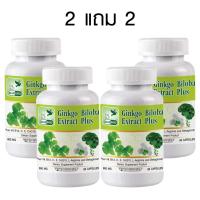ราคา 1แถม1 Ginkgo Biloba Extract Plus สารสกัดจากใบแปะก๊วย พลัส จิงโกะ ตรา บลูเบิร์ด 600 mg 60cps (23375218462)