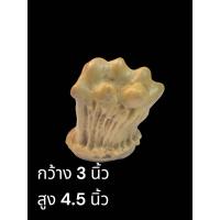 ราคา เขากวางครุฑ9ยอด ของเก่าของหาอยาก มหาอำนาจทรัพย์ อนันต์ (25125912549)