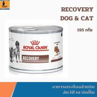 ราคา Royal canin Recovery รวมอาหารรักษาโรคสุนัขแบบเปียก 3กระป๋อง 6กระป๋อง 12กระป๋อง (24387531230)