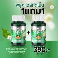 ราคา SN9พลูคาวสกัดเย็น โรคผิวหนัง สะเก็ด คัน เชื้อรา กลากเกลื้อน พลูคาว คาวตอง พลูคาวแคปซูล พลูคาวสมุนไพร พลูคาวแท้ (25157311168)
