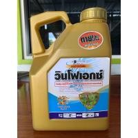 ราคา วินโฟเอกซ์ กลูโฟซิเนต แอมโมเนียม 4 ลิตร สูตรทนฝน ของแท้แน่นอน สูตรน้ำทอง ฆ่าหญ้าใบแคบ ใบกว้างเผาไหม้กึ่งดูดซึม หญ้าตายเร็ว ตายถึงรากถึงโคน (25295491433)