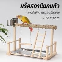 ราคา คอนนก ชุดเซตคอนนกแก้ว ของเล่นนก ถาดสแตนเลส คอนนกยืน สำหรับนกแก้วขนาดเล็ก นกเลิฟเบิร์ด นกแก้ว นกหงส์หยก (24970389949)
