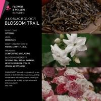 ราคา KARMAKAMET Original Moisturizing Hand Cream 25 ml Blended คามาคาเมต ครีมบำรุงมือ มือนุ่ม กลิ่นหอม ผ่อนคลาย ของขวัญ (25546061131)