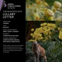 ราคา KARMAKAMET Original Moisturizing Hand Cream 25 ml Blended คามาคาเมต ครีมบำรุงมือ มือนุ่ม กลิ่นหอม ผ่อนคลาย ของขวัญ (25546061138)