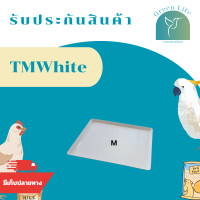 ราคา ถาดรองกรง ถาดพลาสติก ถาดรองกรงนก กรงสัตว์เลี้ยง สีขาว มี 3 ขนาด พลาสติก อุปกรณ์เลี้ยงนก อุปกรณ์กรงนก สำหรับรองกรงนก กรงสัตว์เลี้ยง วางต้นไม้ รองกระถาง ใส่ของ ถาดรอง รองกรง รองต้นไม้ พร้อมส่ง มีรับประก