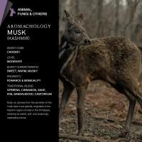 ราคา KARMAKAMET Original Moisturizing Hand Cream 25 ml คามาคาเมต ครีมบำรุงมือ มือนุ่ม ชุ่มชื้น กลิ่นหอม ผ่อนคลาย ของขวัญ (25546220106)