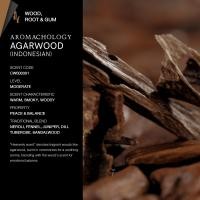 ราคา KARMAKAMET Original Moisturizing Hand Cream 25 ml คามาคาเมต ครีมบำรุงมือ มือนุ่ม ชุ่มชื้น กลิ่นหอม ผ่อนคลาย ของขวัญ (25546220093)