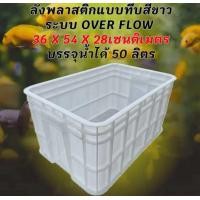 ราคา ลังพลาสติกแบบทึบสีขาว ลังเปล่า สำหรับเลี้ยงปลา อ่างเลี้ยงปลา กะบะเลี้ยงปลา อ่างปลาบอลลูน อ่างปลาเมกาดะ อ่างปลา (24927263347)