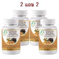 ราคา 1แถม1 ขมิ้นชันผสมพริกไทย และ ขิง พลัส ตรา บ้านยิ้ม Curcumin Mix Black Pepper Ginger Plus 600 มก 100 เม็ด (23716528835)