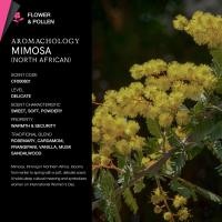 ราคา KARMAKAMET Original Moisturizing Hand Cream 25 ml คามาคาเมต ครีมบำรุงมือ มือนุ่ม ชุ่มชื้น กลิ่นหอม ผ่อนคลาย ของขวัญ (25546220104)