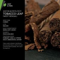 ราคา KARMAKAMET Original Moisturizing Hand Cream 25 ml คามาคาเมต ครีมบำรุงมือ มือนุ่ม ชุ่มชื้น กลิ่นหอม ผ่อนคลาย ของขวัญ (25546220114)