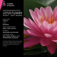 ราคา KARMAKAMET Original Moisturizing Hand Cream 25 ml คามาคาเมต ครีมบำรุงมือ มือนุ่ม ชุ่มชื้น กลิ่นหอม ผ่อนคลาย ของขวัญ (25546220103)