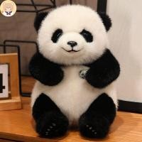 ราคา หมอนหุ้มผ้าปักลายแพนด้าสุดน่ารักสำหรับผู้หญิง หมอนนอนที่ทำจากผ้าขนสัตว์ หมอนอิงหนังสือ ของเล่นตุ๊กตาตัวน้อยที่น่ารัก (25066274633)