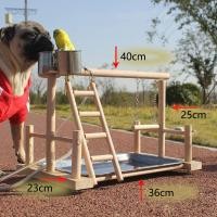 ราคา GGJJ ขายดี คอนนก ชุดเซตคอนนกแก้ว ของเล่นนก ถาดสแตนเลส คอนนกยืน สำหรับนกแก้วขนาดเล็ก นกเลิฟเบิร์ด นกแก้ว นกหงส์หยก (21981801792)