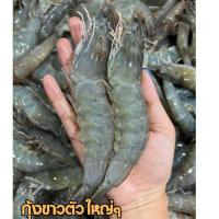 ราคา กุ้งขาวตัวใหญ่ๆ ไซส์25 30ตัวโล กุ้งสดๆแล้วนำมาแช่แข็ง ขายแพ็คละ 1กิโลกรัม (24589577186)