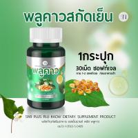 ราคา SN9พลูคาวสกัดเย็น โรคผิวหนัง สะเก็ด คัน เชื้อรา กลากเกลื้อน พลูคาว คาวตอง พลูคาวแคปซูล พลูคาวสมุนไพร พลูคาวแท้ (25157311167)