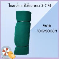 ราคา ใยกรองละเอียด สีฟ้า สีเขียว ขนาด 1x2 เมตร หนา 2 3 4 5 ซม ใยกรองหยาบ ใยญี่ปุ่น Filter mat ใยฟองน้ำดำ (24422303726)