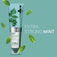 ราคา แพ็คคู่สุดคุ้ม Dentiste Extra Strong Mint Toothpaste 100 g Dentiste Premium Natural White Toothpaste 100g (25145753456)