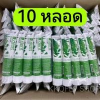 ราคา ยาสีฟันดีเดนท์ 10 หลอด 158 บาท ยาสีฟันสมุนไพร ป้องกันฟันผุ ขนาด 100 กรัม (24922833479)