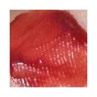 ราคา ใหม่ล่าสุด MYCA Mirror Lip Tint ลิปทินต์เนื้อกระจกฉ่ำวาว ทิ้งสเตนติดทนนาน ให้ฟินิช mirror glossy shine (25385216708)