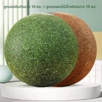 ราคา VOA ของเล่นสำหรับกัดแทะสัตว์เลี้ยง กระต่ายแคระ หนูแกสบี้ และเพตาวริสตา (25194385970)