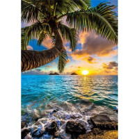 ราคา Sea View Landscape Posters And Print Sunset Beach Seascape Canvas Painting Natural Scenery Nordic Wall Art Picture Home Decor (22437596660)