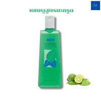 ราคา ส่งฟรี แชมพู แชมพูสูตรมะกรูด สูตรเย็น สระผม แชมพูสูตรเย็น คาฟิร่า สระได้บ่อย คันศีรษะ ผมร่วง ผมบาง แชมพูอ่อนใส (25155838063)