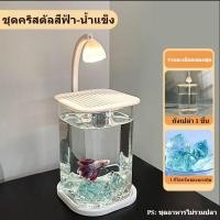 ราคา The Phoenix ตู้ปลา อ่างปลา ตู้ปลาพลาสติกใส สำหรับปลากัด ปลาสวยงาม การส่งผ่านแสง 99 พร้อมไฟ LED แถมฟรีน้ำแข็งคริสตัล 1kg (25042739605)