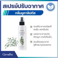 ราคา สเปรย์ปรับอากาศ กิฟฟารีน กลิ่นยูคาลิปตัส Giffarine Eucalyptus Air Freshener สเปรย์ดับกลิ่น กิฟฟารีน สเปรย์ดับกลิ่นห้อง ปรับอากาศ สเปรย์ดับกลิ่น (20560829247)
