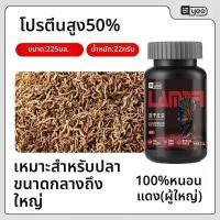ราคา Yee อาหารปลาขนาดเล็ก บล็อกกุ้งอาร์เทเมียและหนอนแดงแช่แข็ง (25289930407)