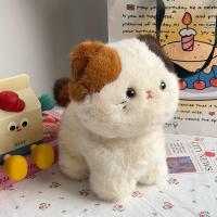 ราคา JIFANPAUL ตุ๊กตาหมอนแมวสามสีน่ารัก (25223719890)