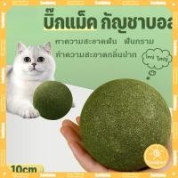 ราคา QPETS 10CM แคทนิปบอล กัญชาแมว catnip ball สมุนไพรแมวเลีย ขนมแมวเลีย (24625457429)