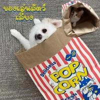 ราคา GZF ถุงนอนแมว ที่นอนสุนัขแมว กระเป๋าเจาะแมว แบบพับได้ พร้อมลูกบอลแขวน แบบกึ่งปิด ให้ความอบอุ่น สําหรับสัตว์เลี้ยง แมว (24353649668)