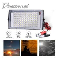ราคา DINGDIAN LED DC12Vจระเข้คลิปไฟLEDกลางแจ้งFloodLightกันน้ำ 50 วัตต์ 100 วัตต์ 6500 พันเย็นสีขาวนำสปอตไลSuper Brightสปอตไลสำหรับสวนลานตลาดกลางคืน (3153198177)