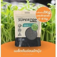 ราคา เมล็ดเพาะต้นอ่อน ผักบุ้งจีน พันธุ์เรียวไผ่ SUPERTOP ขนาด 1 KG อัตรางอก 99 (25589416230)