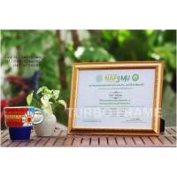 ราคา Turbo Frame กรอบรูปใส่ภาพขนาด A4 ใส่ใบประกาศ สีทอง (106952155)