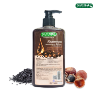 ราคา แชมพูสมุนไพร ประคำดีควายผสมน้ำมันงา 500 มล Natural Essences ลดรังแค ลดการคันศรีษะ ให้เส้นผมมีน้ำหนัก สำหรับผมทุกสภาพ (25592327697)