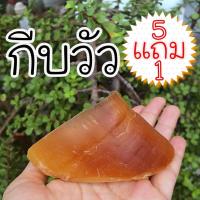 ราคา กีบเท้าวัว กีบวัว ขนมขัดฟันสำหรับสุนัข ขนมขัดฟันจากธรรมชาติ (8122748764)