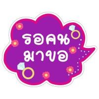 ราคา P322 ป้ายถืองานแต่ง ชุด2 ป้ายพร็อพ งานแต่ง ป้ายข้อความ ป้ายคำพูด ป้ายงานแต่ง ป้ายฟิวเจอร์บอร์ด ที่จับ (11962799830)