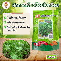 ราคา ผักกาดเขียวน้อยใบสร้อย สร้อยทิพย์ ตราน้ำเต้า ใบเขียวสด สวย กลิ่นหอม กรอบนุ่ม (25464821417)