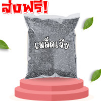 ราคา BB จัดโปร 1ฟรี 1 เมล็ดเจีย Chia seeds เจีย เชีย เมล็ดเชีย เมล็ดเจีย เมล็ดเชีย ออร์แกนิค เกรดAAA มีประโยชน์ เม็ดเจีย เม็ดเชีย ออร์แกนิค อาหารว่าง อาหารเพื่อสุขภาพ ไม่เหม็นหืน สดใหม่ เจีย เชีย อร่อย ทาน