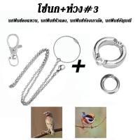ราคา พร้อมส่ง โซ่คล้องขานก สายจูงนก โซ่นกแก้ว โซ่จูงนก โซ่สำหรับนกแก้ว ห่วงเปิดขานก ห่วงขานก ยาว 80 ซม สแตนเลส (24428171550)