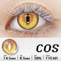 ราคา ส่งกล่องดูแล FUNSACHY คอนแทคเลนส์คอสเพลย์ 1 คู่ 14 5 มม ตาบอด สีดำสีขาวบริสุทธิ์ตาบอดสีขาวคอนแทคเลนส์รายปี (22663210641)