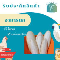 ราคา อาหารนก อาหารนกแก้ว อาหารสำหรับนก ลิ้นทะเล กระดองปลาหมึก แหล่งแคลเซียมสำหรับนก กระดูกปลาหมึก แคลเซียมนก สำหรับนก เสริมสร้างแคลเซียม สร้างเปลือกไข่ ไม่ใช้สารฟอกขาว ธรรมชาติ มีรับประกัน Greenlife (21587